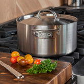 Olla Viking Professional
